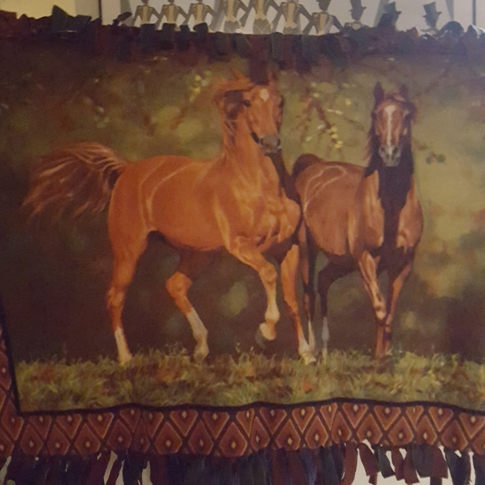 Horse Print Blanket.
